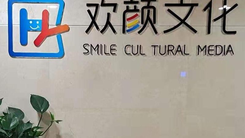 广州品牌策划公司类型解析：如何选择最适合你的合作伙伴